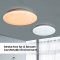 Minimalist Dimmable Color surface mounted Ceiling Lamp